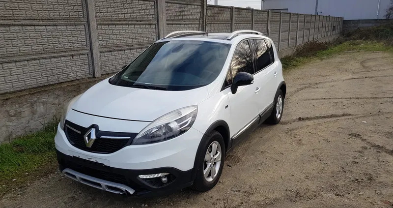 wielkopolskie Renault Scenic cena 25990 przebieg: 133000, rok produkcji 2014 z Pleszew